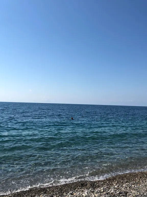 Квартира Уютная квартира с видом в парк — Сириус