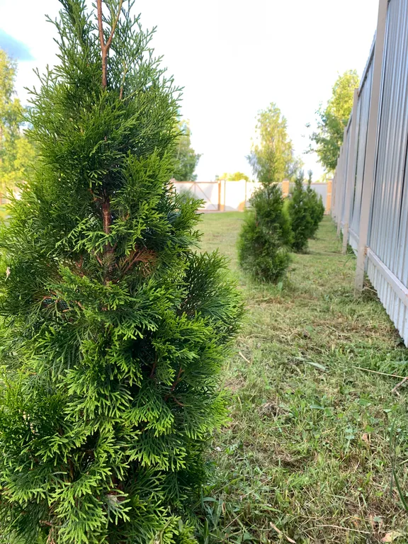 Дом с баней у пруда Алмаз Сити для мероприятий и отдыха