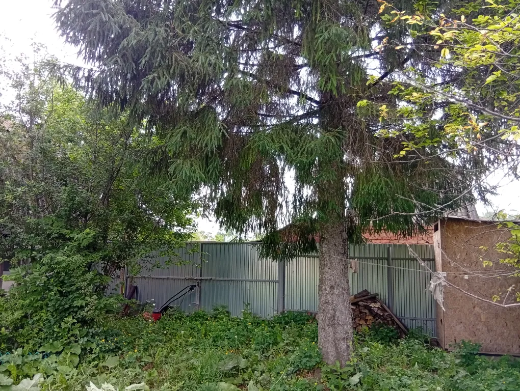 База Акапулько на озерце