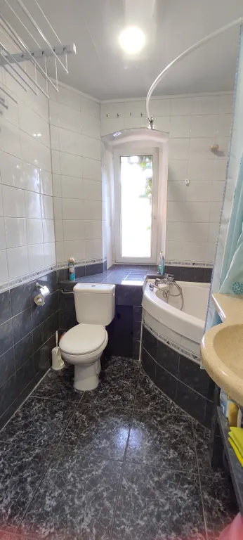 Приют Дризена