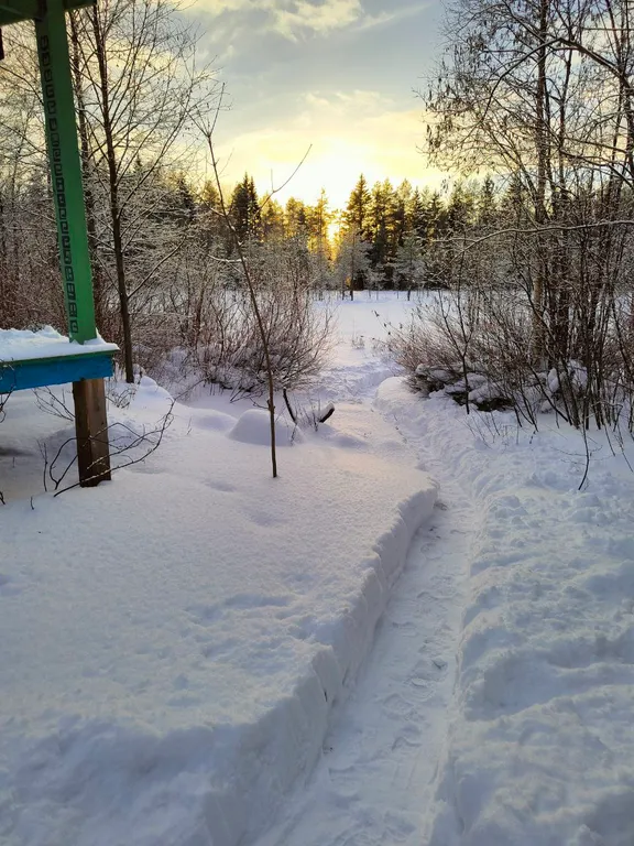 Коттедж Дом Леса — Краснознаменка