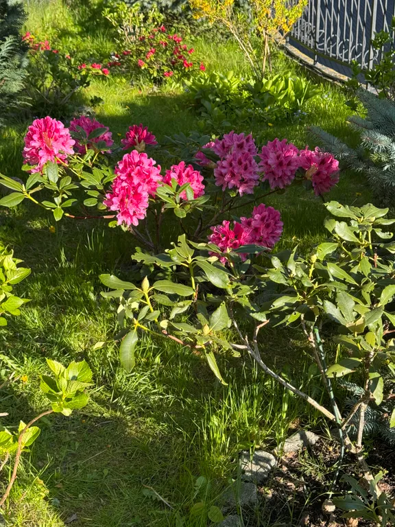 Апартаменты с видом на море