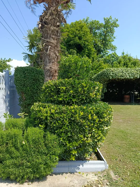 Уютные и комфортные номера у моря