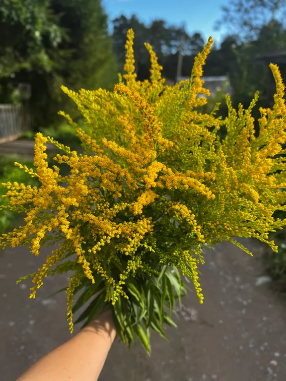 Стильный дом на берегу Ладожского озера с панорамным видом