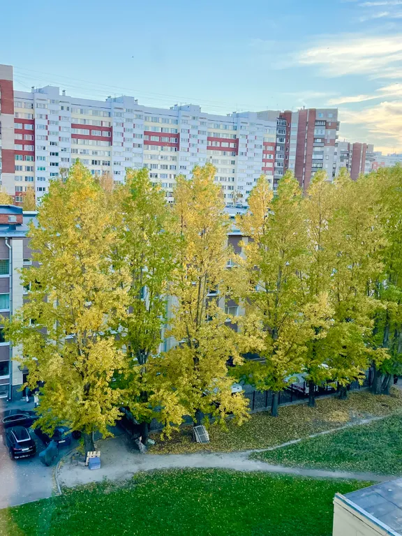 Квартира Апартаменты Восьмое небо, комфортная квартира — Санкт-Петербург