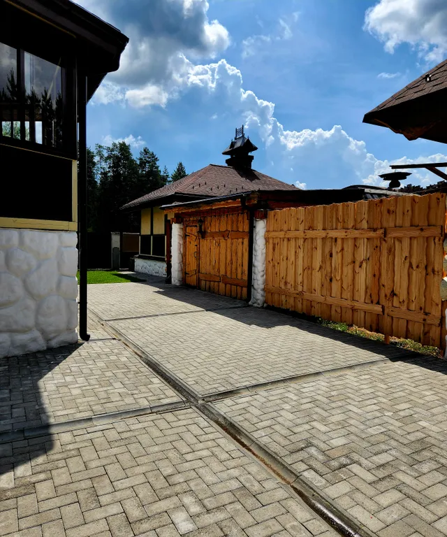 Алтайский кедр