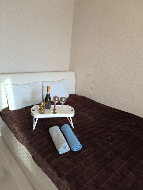 Апартаменты в гостях у Лилии