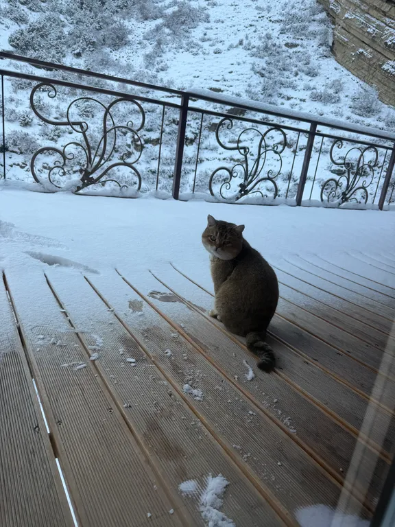 Роскошный эко дом Аквамарин с террасой у водопада и леса