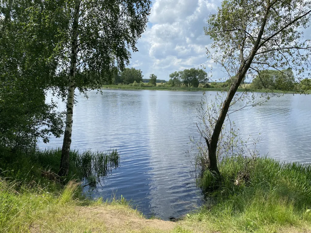 Домик ЕЖЕВИКА. Большой пруд с пляжем в глэмпинге "Усадьба Ягодное".