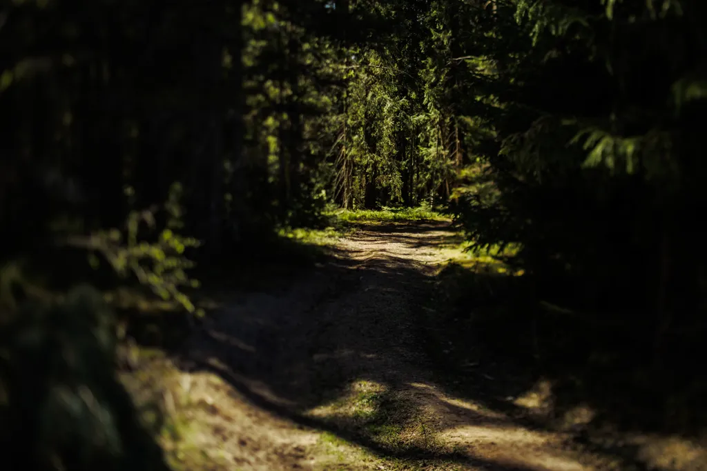 Вилла S/I с видом на вековой лес