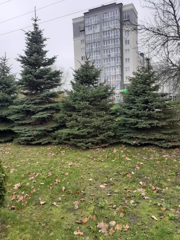 Квартира Квартира с видом на частный сектор — Калининград