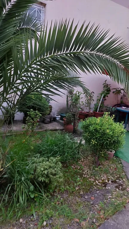 Апартаменты люкс с балконом в 200 метрах от моря с верандой