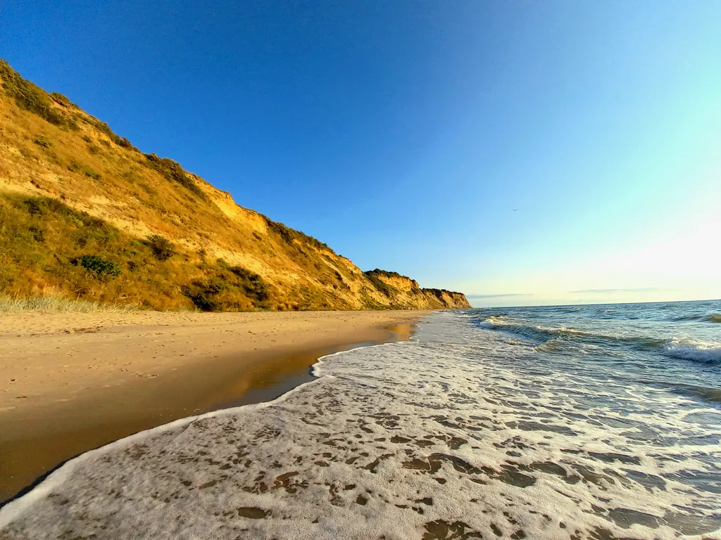 Подсолнух у моря