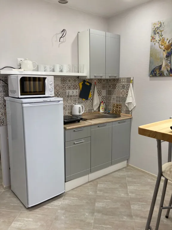 Студия в центре