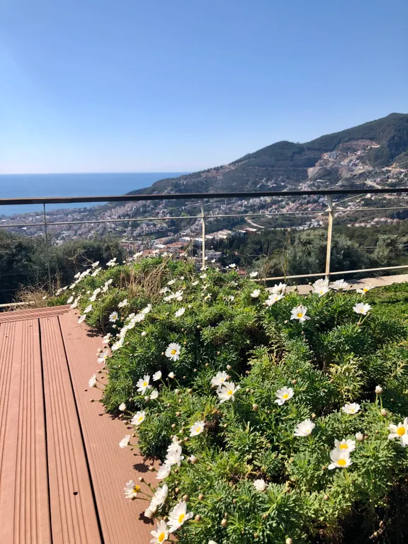 Уютное проживание в 300 м от пляжа Клеопатра