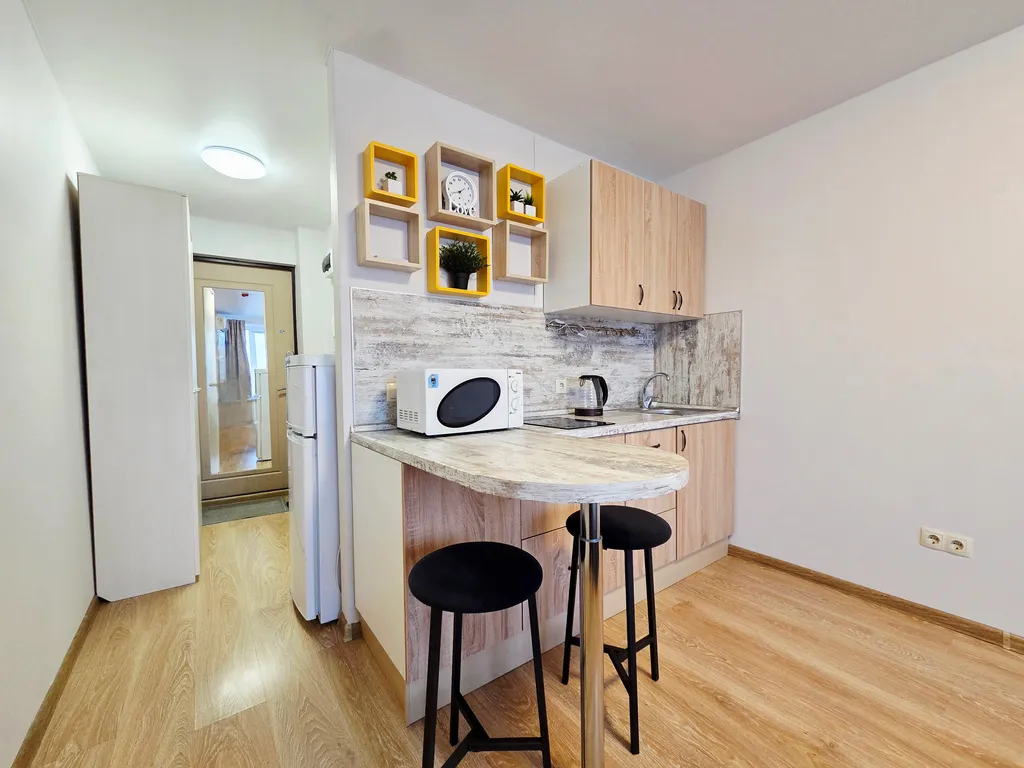 Квартира Квартира Уютная студия с видом на парк Лосиный остров — Москва