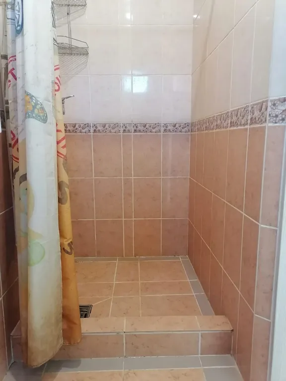 Квартира 1-комнатная Квартира — Луга