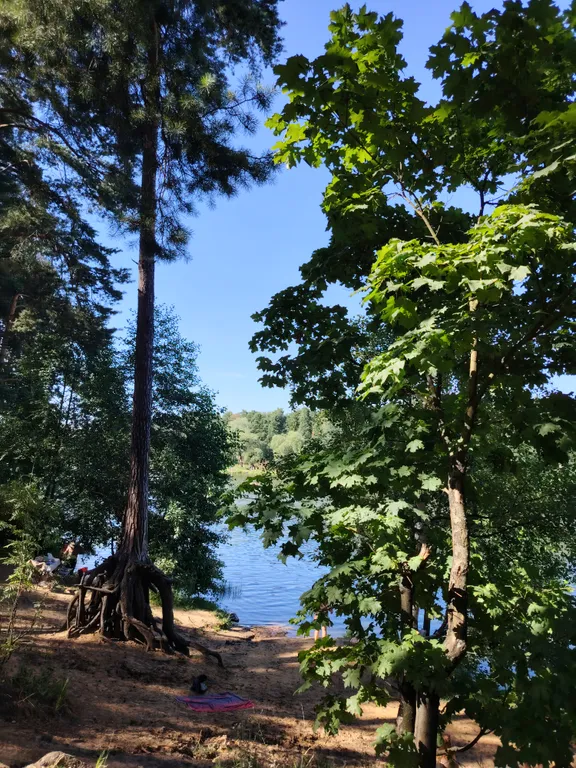 Однокомнатная квартира в Жуковском на Нижегородской