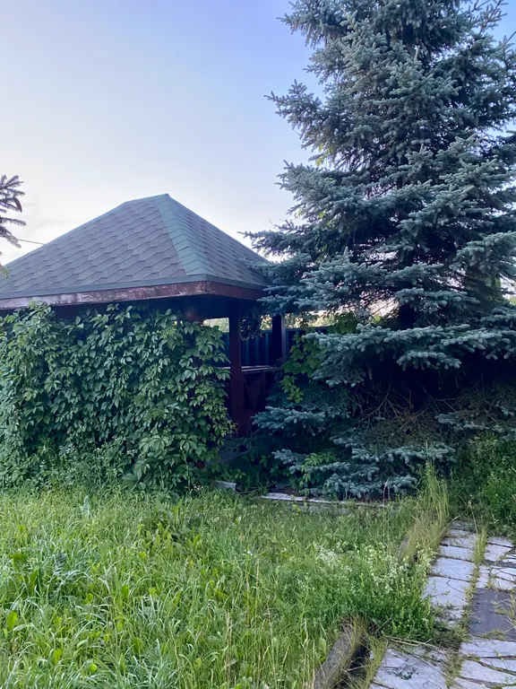 Дом с баней и бассейном