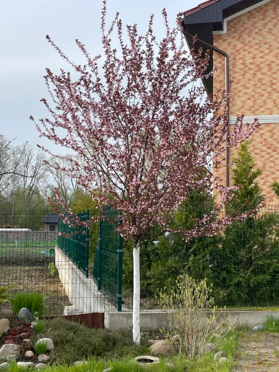 Таунхаус на побережье