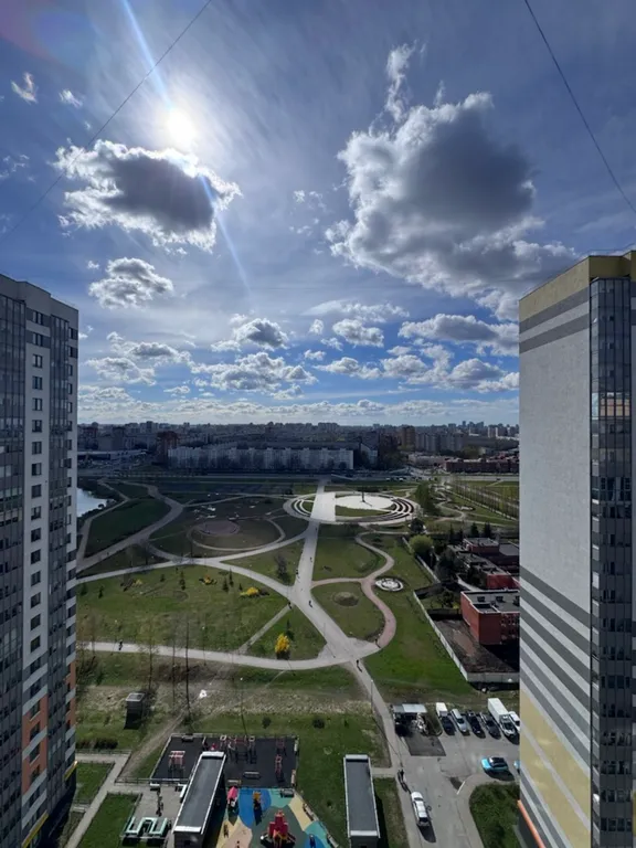 Зачарованный лес