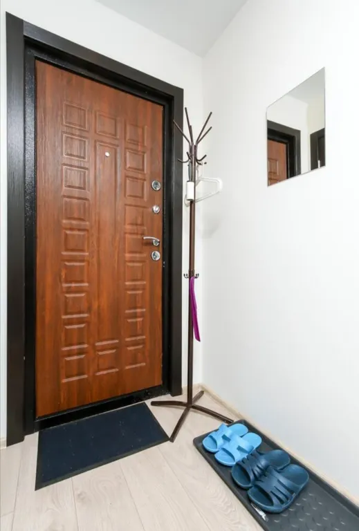 Уютная студия рядом метро Маркса