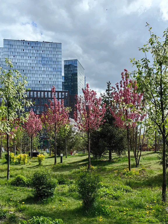 Квартира Апартаменты рядом с Москва - сити — Москва
