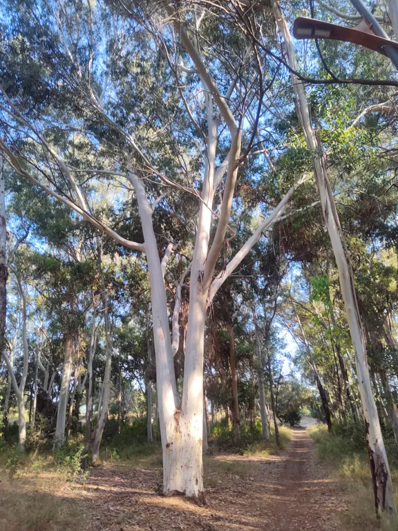 Квартира с видом на море и горы из всех окон