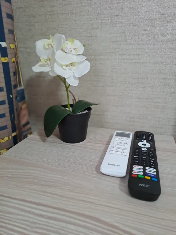 Уютная мини-квартира