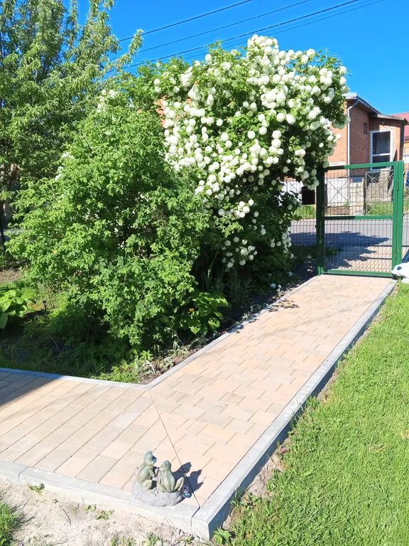 Коттедж Дом на Куршской косе — Рыбачий