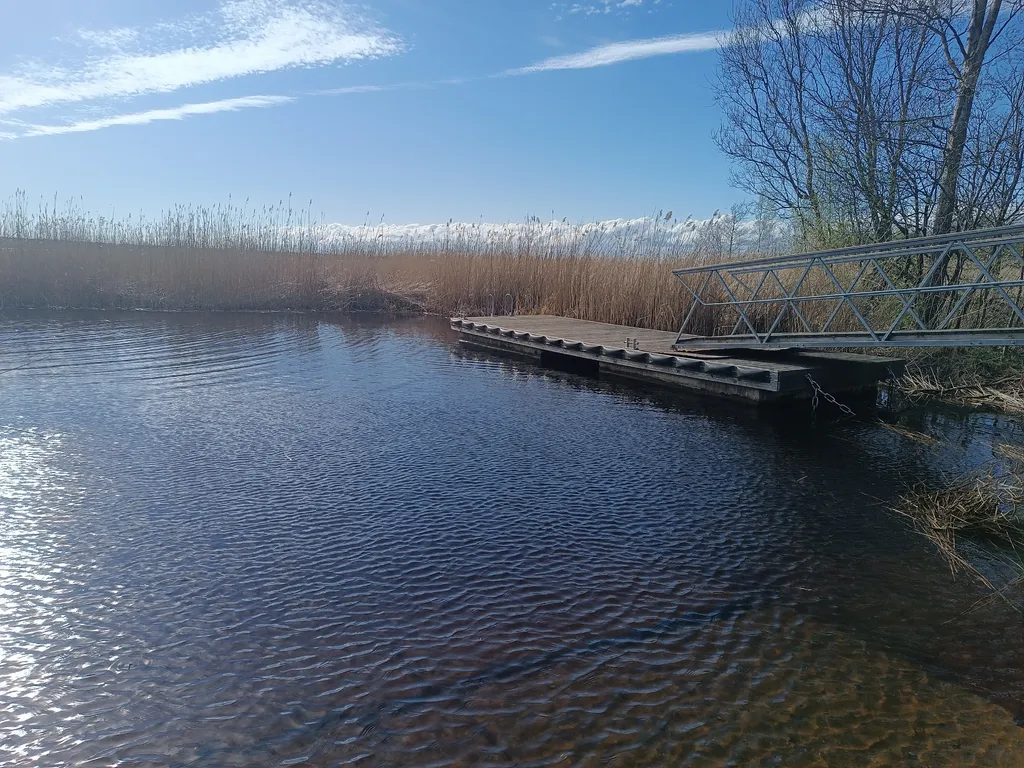 Дом с баней в лесу