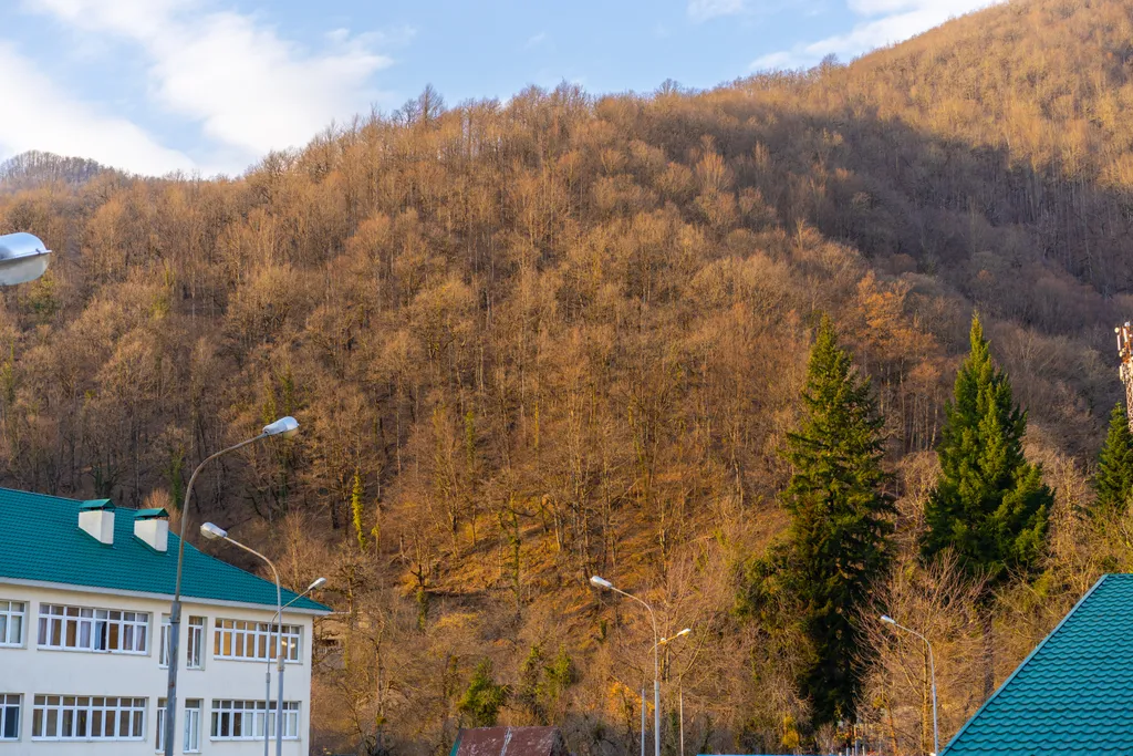 Теплая 4-к квартира у подъемника, Красная Поляна