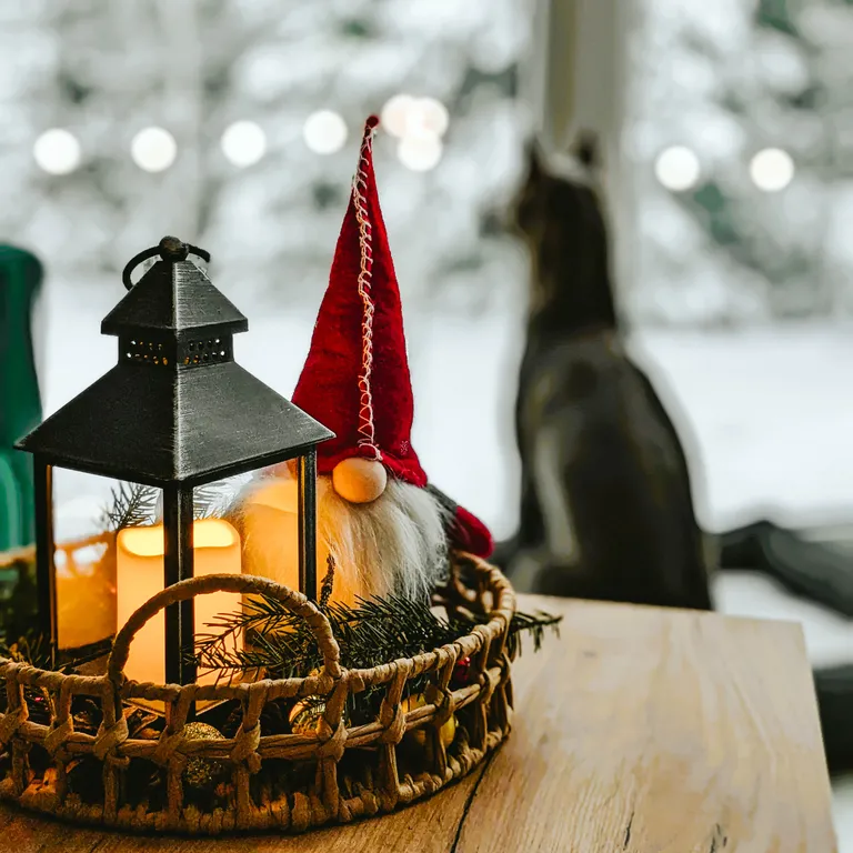 Уютный дом в лесу