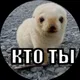 Амир
