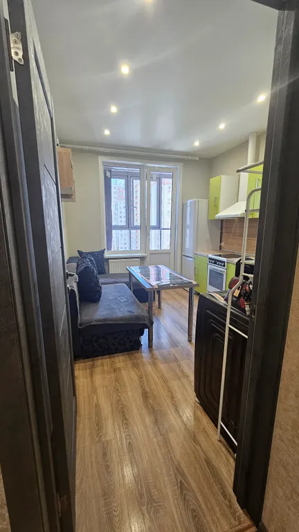 Однокомнатная просторная квартира