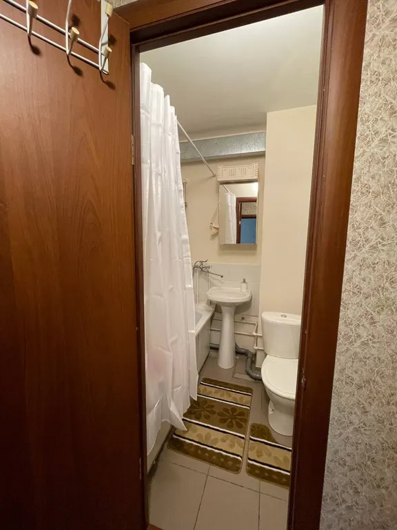 Уютная однокомнатная квартира на Чистой Слободе