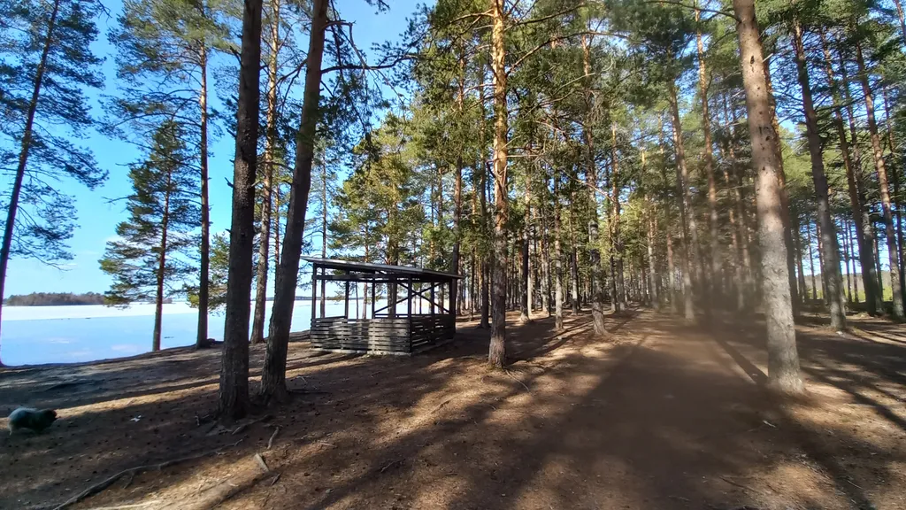 Первая линия Сямозера