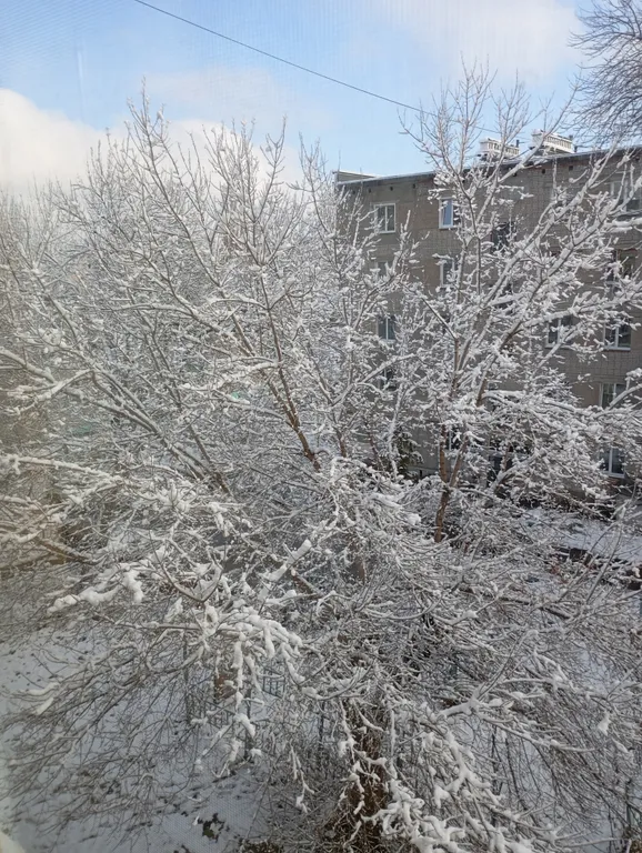 Уютная, чистая квартира в центре города