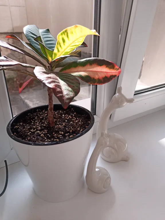 Квартира в центре Главпочта