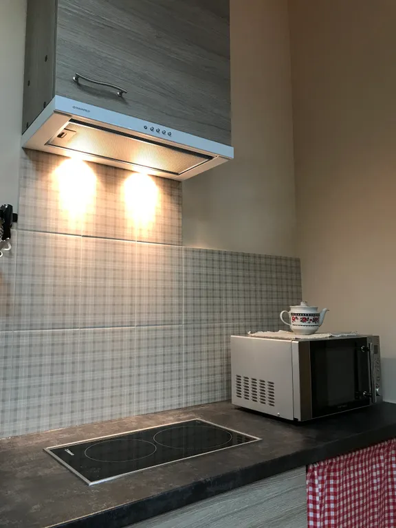 Квартира Апартаменты для путешественников — Калининград