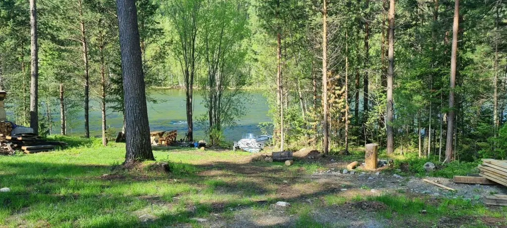 Коттедж в живописном месте на берегу реки Бия