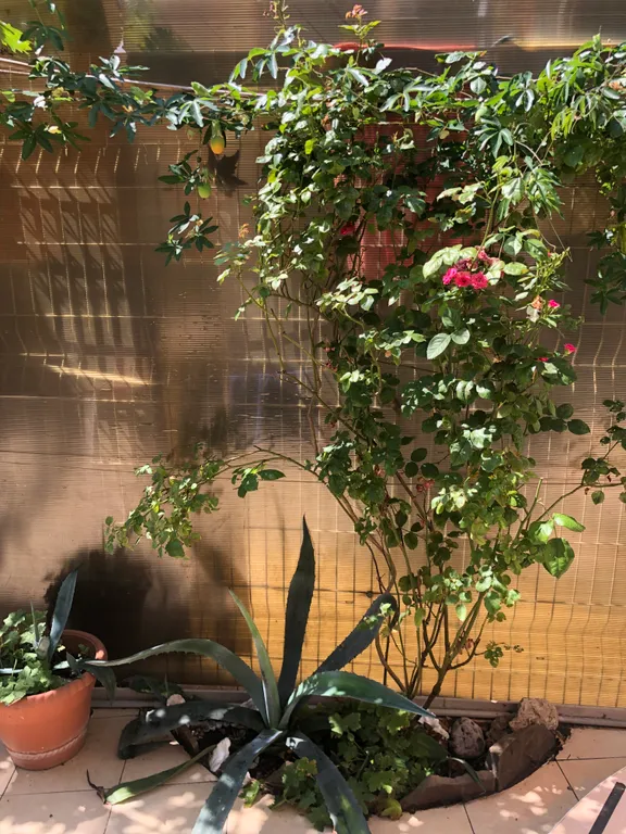 1-комнатный Дом