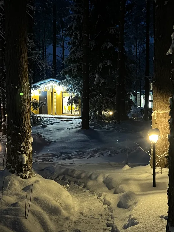 Коттедж Коттедж Логово Тигра — Стеклянный