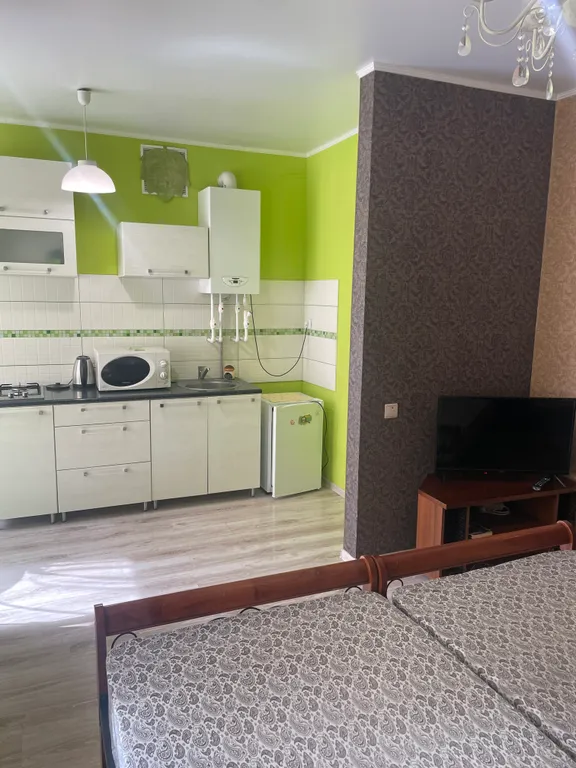 Студия у озера Тихое и лесной зоны