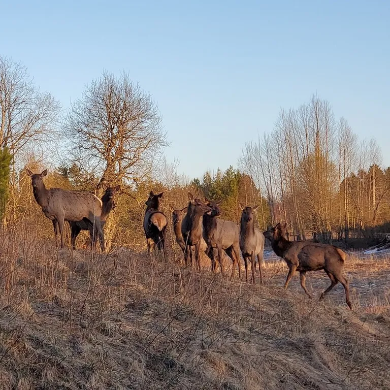 Дом у озера Мстижа
