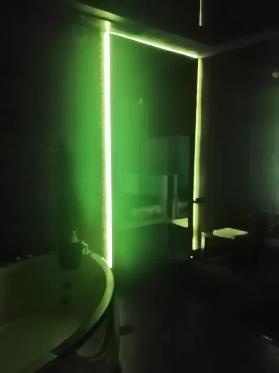 Замечательная просторная квартира люкс — аренда посуточно в Омск