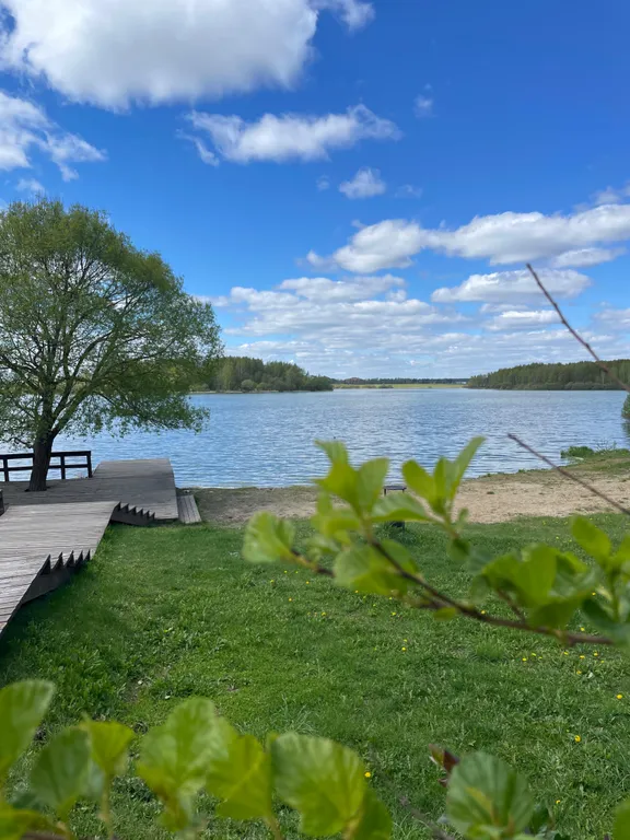 Эко-дом с горячей джакузи и профессиональным грилем на террасе