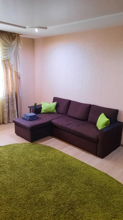 Большая уютная однокомнатная квартира