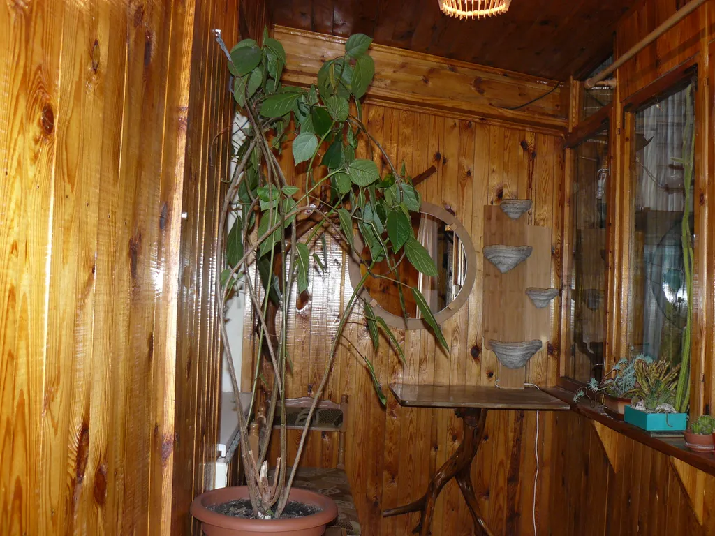 Дом с собственным двориком