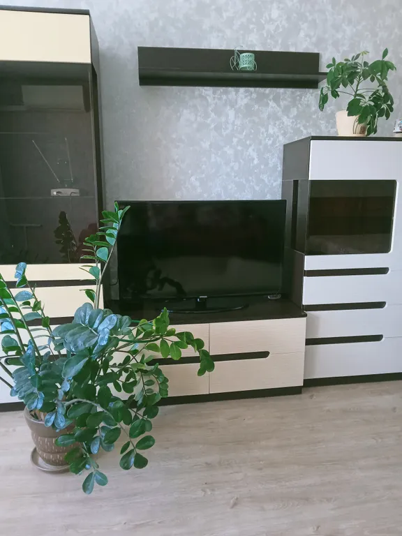 Уютная, чистая квартира